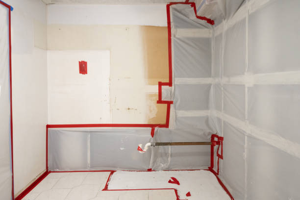 Best Asbestos and Lead Testing During Mold Inspection  in China Lake Acres, CA